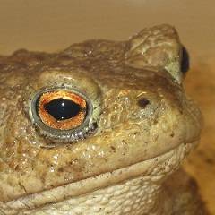 Liquorworks : Moist Computer